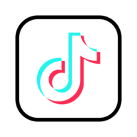 contorno cuadrado Tik Tok icono en un transparente antecedentes png