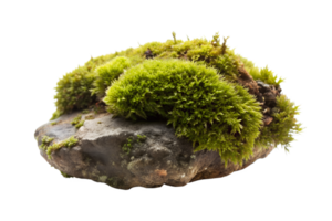 AI generated moss on the log isolated on white background png