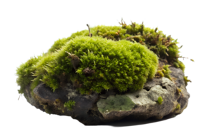 AI generated moss on the log isolated on transparent background png