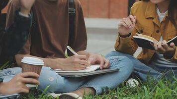 grupp av Lycklig ung asiatisk högskola studenter Sammanträde på en bänk, ser på en bärbar dator skärm, diskuterar och brainstorming på deras skola projekt tillsammans. video