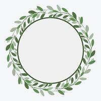 Photo Frame Green leaf Branch and circle Background Vector