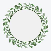 Photo Frame Green leaf Branch and circle Background Vector