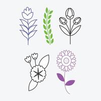 un colección de flores y hojas natural elementos vector antecedentes