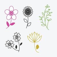 un colección de flores y hojas natural elementos vector antecedentes