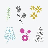 un colección de flores y hojas natural elementos vector antecedentes