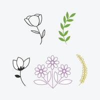 A collection of flowers and leaves  Natural Elements vector background