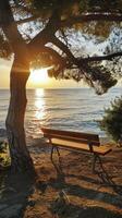 ai generado un banco debajo el árbol, puesta de sol en mar horizonte foto
