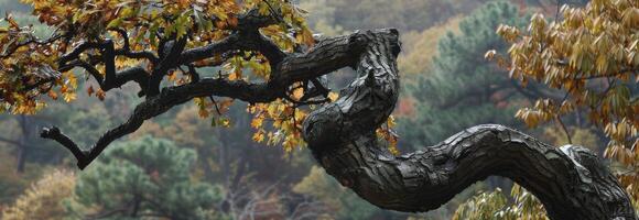 ai generado retorcido árbol ramas en un antiguo roble bosque foto