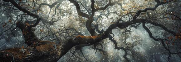 ai generado retorcido árbol ramas en un antiguo roble bosque foto