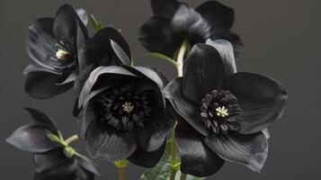 AI generated Beautiful Hellebore Onyx Odyssey flowers photo