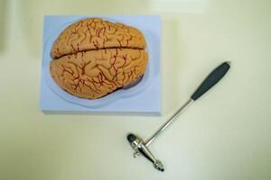 Brain model on the table. Neurosurgery concept. Neurosurgery hummer. photo