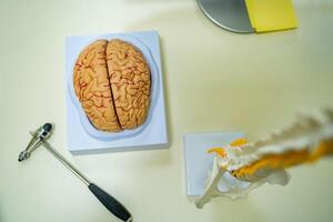 View of human brain model, spine model and neurosurgery hummer. Neurosurgery concept. photo