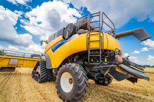 Large view on yellow combine. Special technic in field. Modern machinery in gold wheat. photo