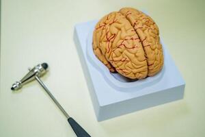 Brain model on the table. Neurosurgery concept. Neurosurgery hummer. . Brain human anatomy. 3d rendering. photo