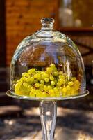 Bunch of green grapes fruit in glass dish on blurred background. Dome glass cover. Closeup. photo