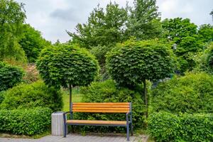 lozano verde jardín con Roca paisajismo, arbusto cobertura y banco. primavera, verano vista. foto