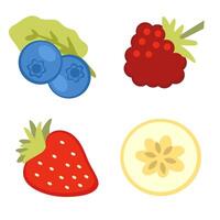 Hand drawn fruits collection blueberry, strawberry, raspberry and banana slice. Perfect for vector