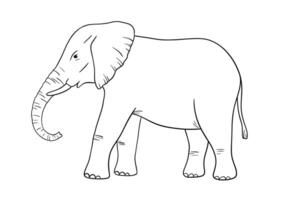 Elephant line sketch isolated on white background. Vector engraving illustration. Doodle african animal