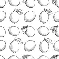 Hand drawn vector monochrome seamless pattern with etching lemon or lime, leaves in engraved style. Vector black and white repeat backdrop