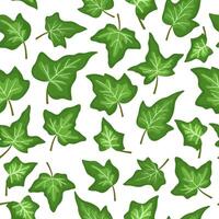 Seamless pattern with of English ivy leaves. Vector green summer repeat pattern