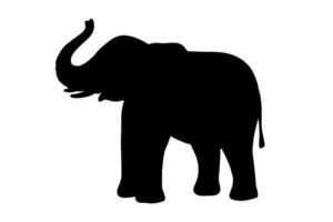 Elephant baby silhouette with trunk up isolated on white background. vector