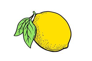 Hand drawn lemon with leaves. Fruit in flat style, whole fresh citrus isolated on white background vector