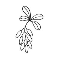 Branch with leaves and barberry. Botanical element. Hand drawn vector illustration in outline style.