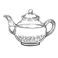 Teapot of tea with healthy tea, sea buckthorn. Hand drawn vector illustration.