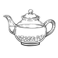 Teapot of tea with healthy tea, sea buckthorn. Hand drawn vector illustration.