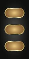 Groups of premium infographic icon on dark gradient background for gold Infographic design. Collection of Luxury Gold web buttons. and vector, illustration vector