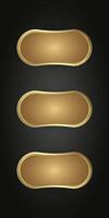 Groups of premium infographic icon on dark gradient background for gold Infographic design. Collection of Luxury Gold web buttons. and vector, illustration vector