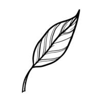 line art of leaf isolated on white background, vector illustration