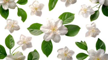 ai généré jasmin fleurs sur une transparent Contexte png