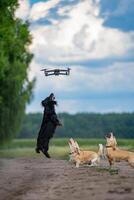 Three dogs jumping trying to catch a dron. Nature background. Small breeds. photo
