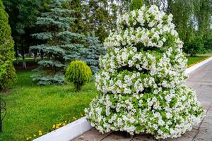 Beautiful bushes, decorative trees and bushes. Lawn and winding pathway in a beautiful english style garden. photo