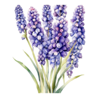 ai gegenereerd waterverf bloemen bloem ontwerp, waterverf bloem regelingen bloemen, waterverf bloem ontwerp, bloem sublimatie bloemen clip art, bruiloft decoratie png