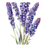 ai genererad vattenfärg blommig blomma design, vattenfärg blomma arrangemang blommig, vattenfärg blomma design, blomma sublimering blommig ClipArt, bröllop dekoration png