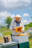 Beekeeper is working with bees and beehives on the apiary. photo