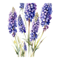 ai generiert Aquarell Blumen- Blume Design, Aquarell Blume Vereinbarungen Blumen, Aquarell Blume Design, Blume Sublimation Blumen- Clip Art, Hochzeit Dekoration png