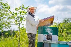 Portrait of male beekeeper with hives at background. Protective clothes on. Apiary. photo