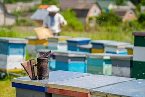 Colorful hives of bees on a meadow in summer. Hives in an apiary with bees flying to the landing boards. Apiculture. Bee smoker on hive. photo