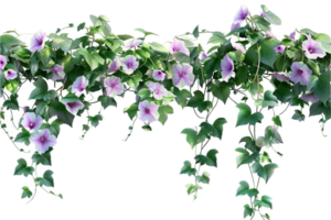 AI generated Morning Glory Vine with Purple Flowers png