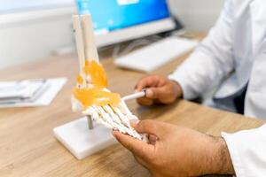 pies huesos modelo a médico s mesa. educativo médico artificial pie modelo. detallado huesos de el pie. foto