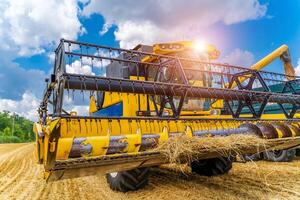 Heavy technics in wheat field. Yellow combine harvesting dry wheat. Observing process. Front view. photo