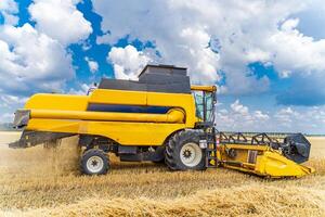 Combine harvester in action on wheat field. Process of gathering ripe crop from the fields. agricultural technic in field. Special technic in action. Heavy machinery, photo