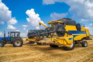 Two working gathering harvest machines. Harvest gathering in gold field. Dry wheat. photo