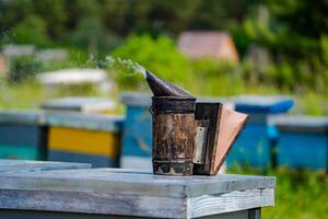 Closeup of bee smoker on hive. Hives in an apiary with bees flying to the landing boards. Apiculture. photo