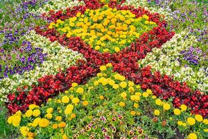 Lush flower beds in the summer garden. A bright sunny day.Wide photo. photo