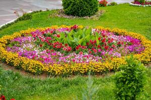 grande redondo jardín cama con un paisaje diseño de floración rododendros, enano coníferas y rutas para caminando. hermosa foto de un primavera floreciente jardín y patio interior de un país casa.