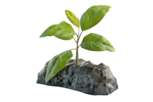 AI generated Young Plant Sprouting from Rock png